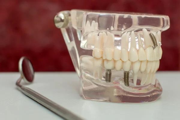 Advanced Tungsten Carbide Manufacturer Services for Heavy Industries