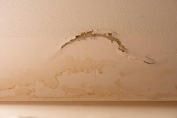 Professional Water Damage Company Near Me Available 24/7