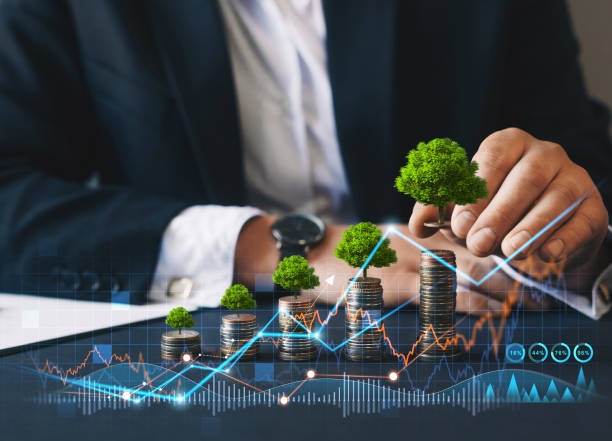 How SIP Contributions and Time Influence Investment Outcomes