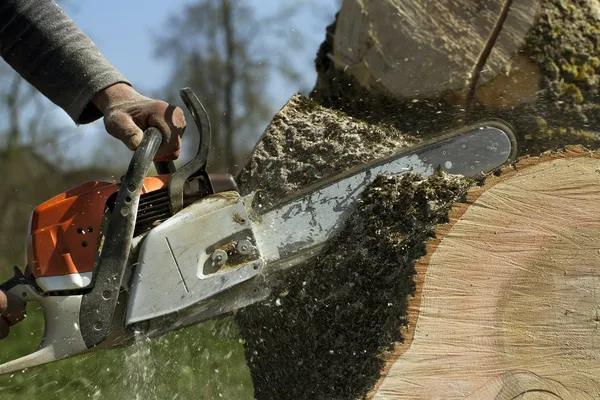 Professional Wiese Tree Service LLC Mobile Services